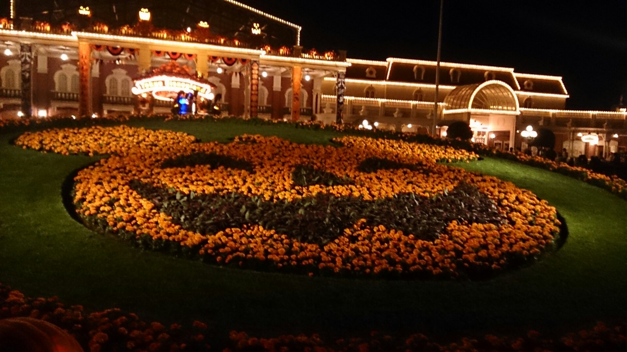 14 10 16 18 Tdr 東京ディズニーリゾート 千葉県 の旅行記 ブログ By イヴさん フォートラベル