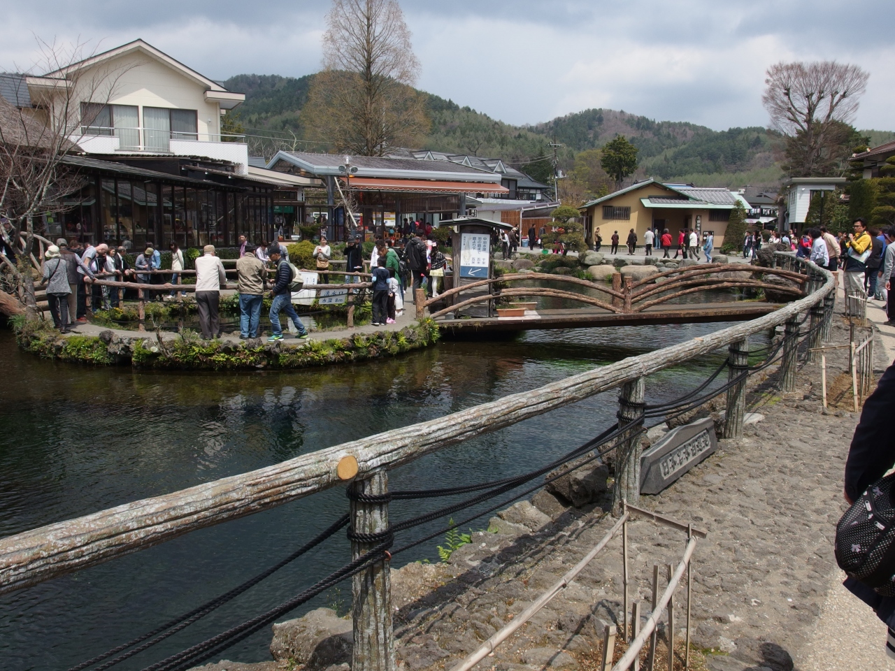 2015年4月 残念だった忍野八海 忍野 山梨県 の旅行記 ブログ By メンデル親父さん フォートラベル