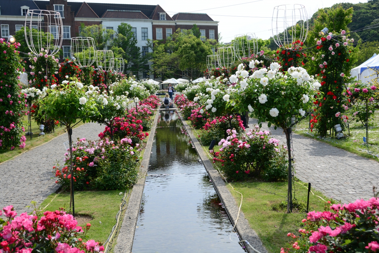 111万本のバラに包まれる幸せ 花と光の王国 に変身したハウステンボス体験記 前編 ハウステンボス周辺 長崎県 の旅行記 ブログ By Deracineさん フォートラベル