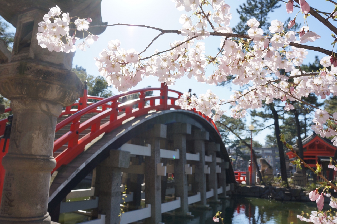 15 3 大阪 住吉大社 四天王寺など 堺 大阪 の旅行記 ブログ By Mo2さん フォートラベル