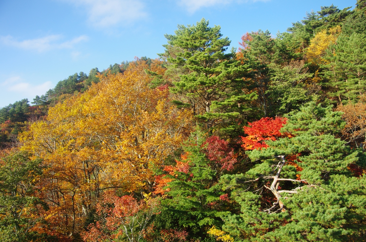 山形紅葉旅行 西吾妻山登山編 白布 天元台 山形県 の旅行記 ブログ By よねりんさん フォートラベル