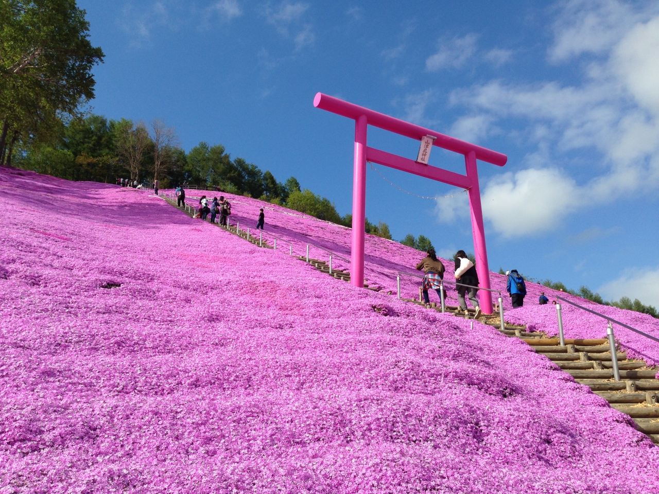 北海道の絶景満喫シリーズ 東藻琴の芝桜公園 女満別 美幌 北海道 の旅行記 ブログ By さとこさん フォートラベル