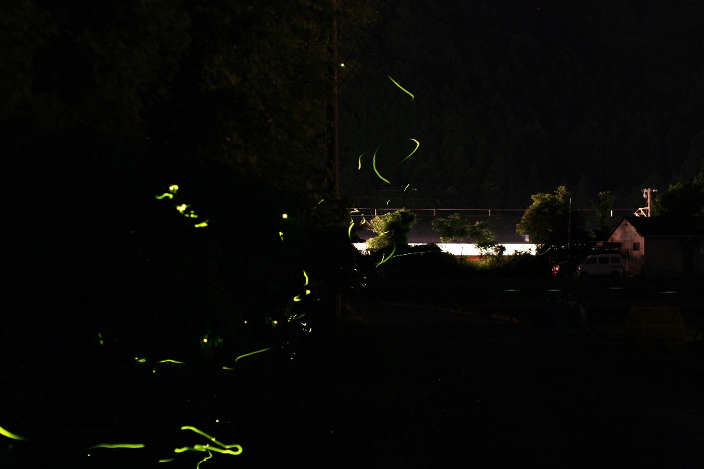 『つかのまに おれ鉄通る ホタルの夜＠熊本県芦北町』水俣・湯の児温泉(熊本県)の旅行記・ブログ by ごろごろ56さん【フォートラベル】