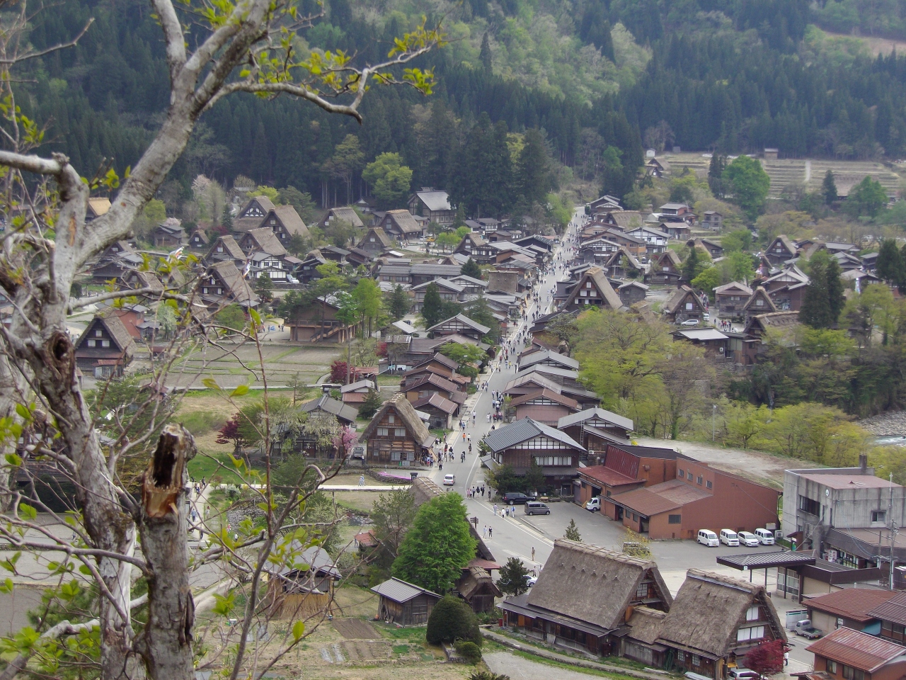 今注目の金沢へ行ってみた 02バスで白川郷へ 白川郷 岐阜県 の旅行記 ブログ By Tabitabi Parsleyさん フォートラベル