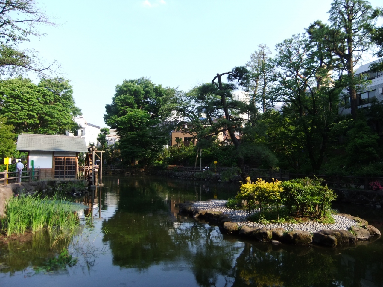 渋谷駅から徒歩12分で水車のある公園 渋谷区立鍋島松濤公園 を訪ねて 渋谷 東京 の旅行記 ブログ By Rspさん フォートラベル 渋谷駅から徒歩12分で水車のある公園 渋谷区立鍋島松濤公園 を訪ねて 渋谷 東京 の旅行記 ブログ By Rspさん フォートラベル