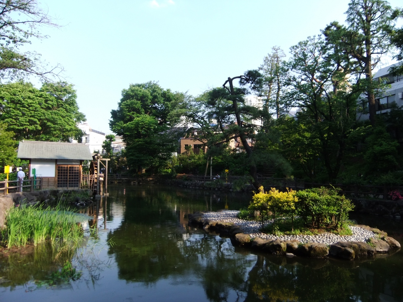 渋谷駅から徒歩１２分で水車のある公園 渋谷区立鍋島松濤公園 を訪ねて 渋谷 東京 の旅行記 ブログ By Rspさん フォートラベル