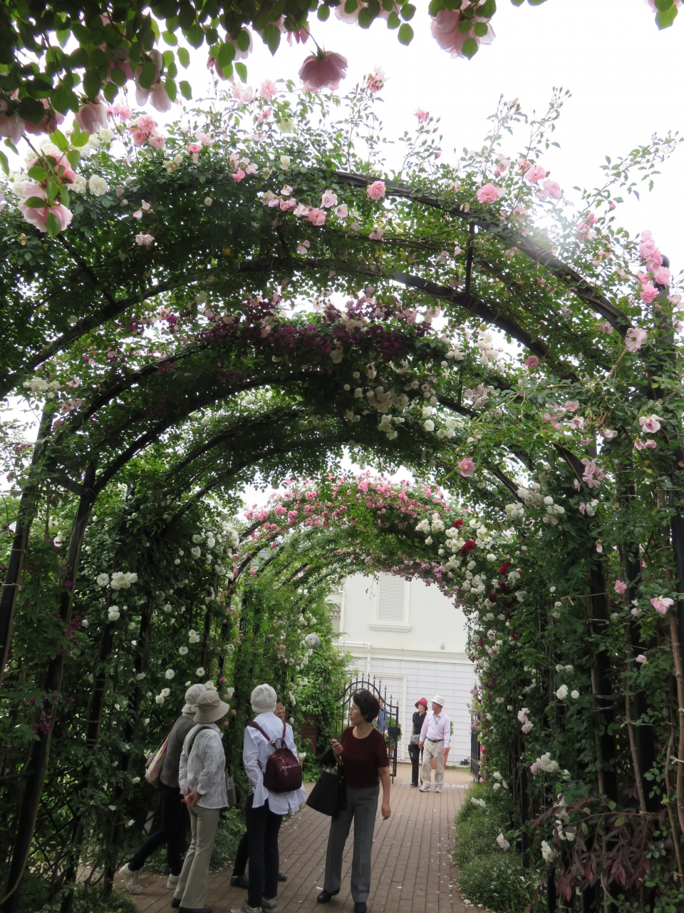 横浜イングリッシュガーデン ちょっと遅い自分への母の日のプレゼント バラの花束 目の保養だけだけど 横浜 神奈川県 の旅行記 ブログ By ミンさん フォートラベル