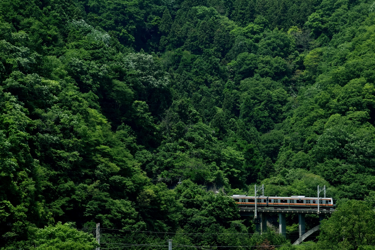 新緑の桂川と四方津駅周辺に広がる初夏の風景を探しに訪れてみた 上野原 丹波山 山梨県 の旅行記 ブログ By 裏山秀人さん フォートラベル