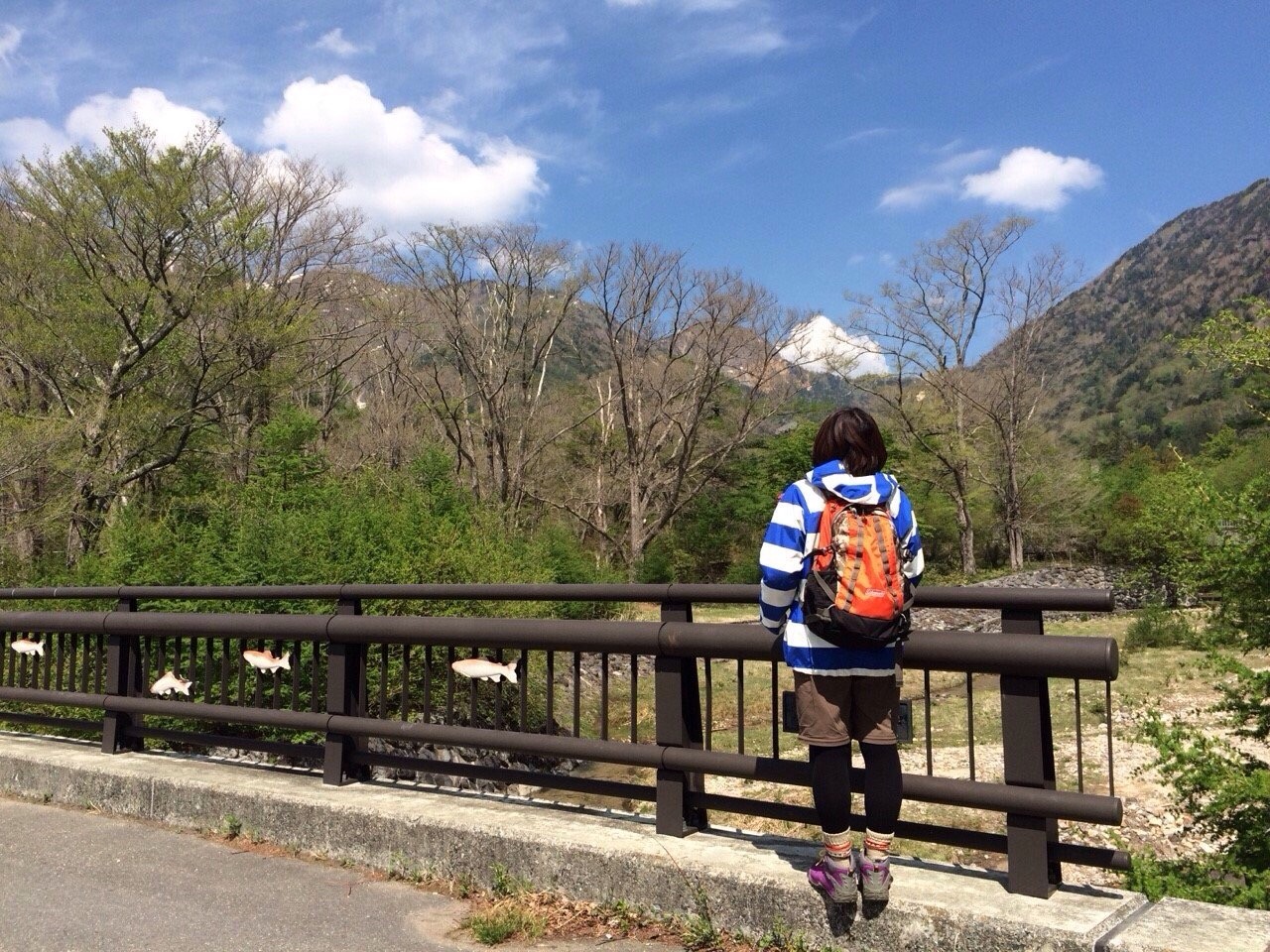 奥日光 15 5月 戦場ヶ原ハイキング 日光 栃木県 の旅行記 ブログ By Toyoyoさん フォートラベル