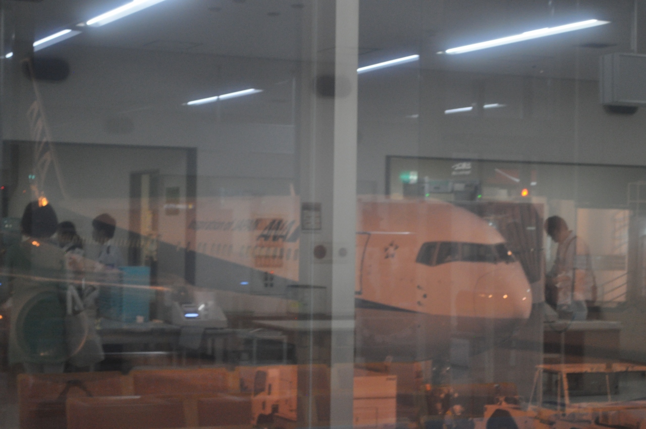 15年5月週末パスの旅1 航空機で東京へ 東京の旅行記 ブログ By Koreanrailfanさん フォートラベル