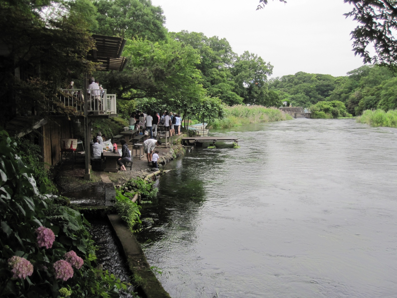 柿田川の河畔でbbqを楽しみました 三島 静岡県 の旅行記 ブログ By Gashouさん フォートラベル 柿田川の河畔でbbqを楽しみました 三島 静岡県 の旅行記 ブログ By Gashouさん フォートラベル