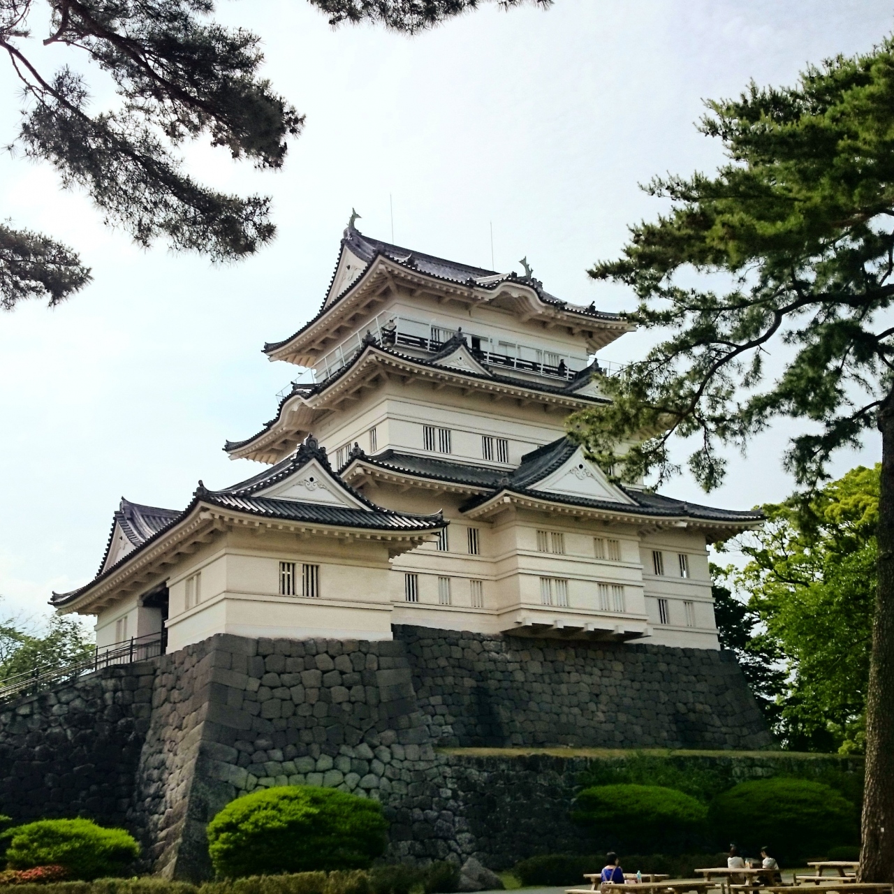 名城を巡る 小田原城 小田原 神奈川県 の旅行記 ブログ By 猟師のせがれさん フォートラベル