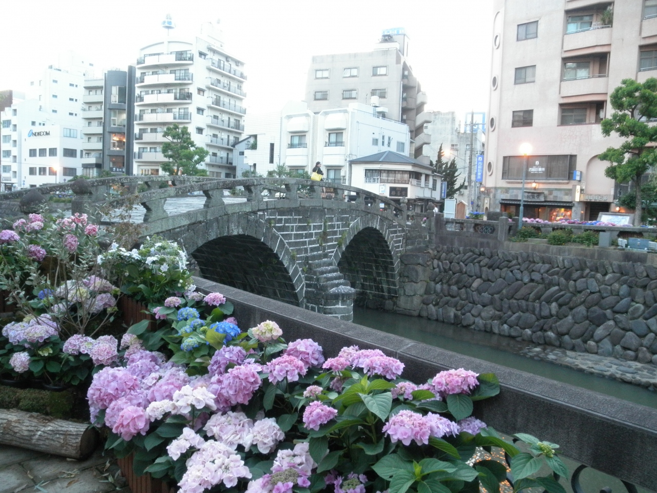 紫陽花の長崎 一年で一番いい季節 1日目 長崎市 長崎県 の旅行記 ブログ By マクシミリアンさん フォートラベル