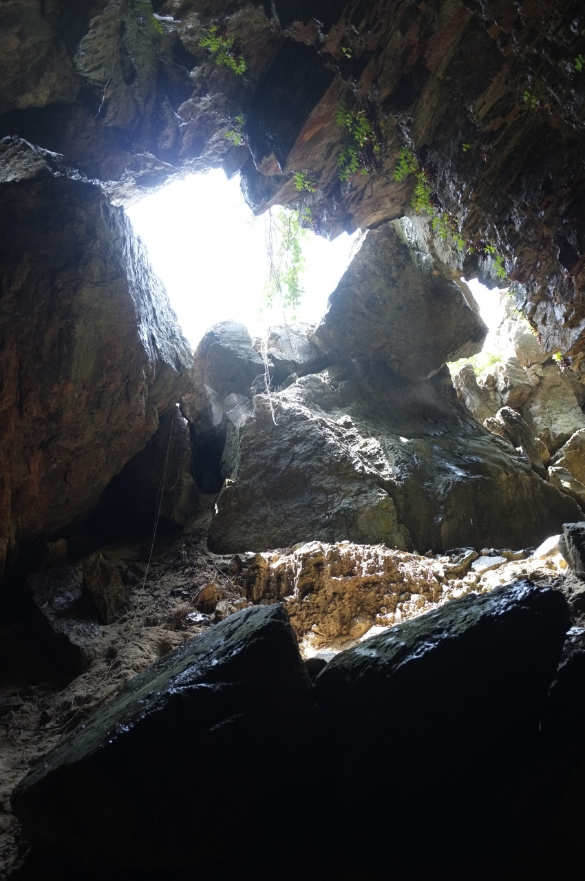 シニアの一人旅ふれあいの伊平屋島 名護 沖縄県 の旅行記 ブログ By しゅんめいさん フォートラベル