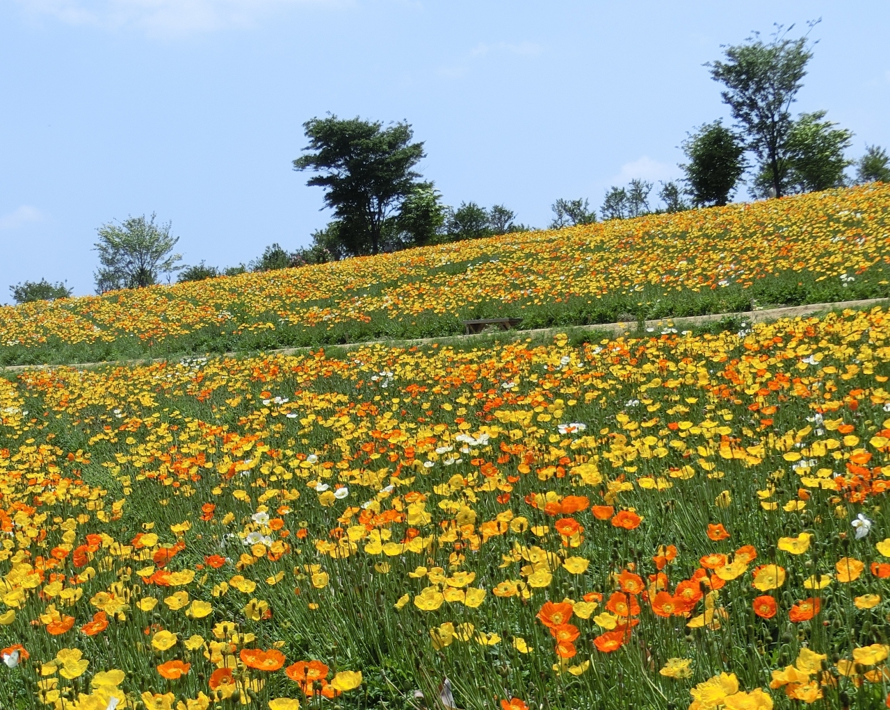 バスで行く ホテルサンバレー那須 那須 栃木県 の旅行記 ブログ By Satobuさん フォートラベル