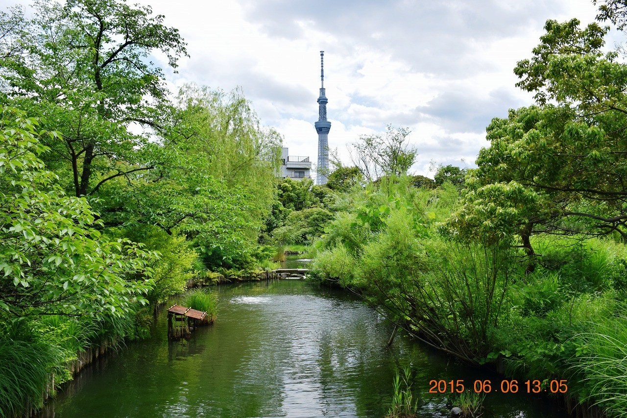 東京散策30 2 紫陽花やたくさんの季節の花が咲く向島百花園 浅草 東京 の旅行記 ブログ By Jh2fxvさん フォートラベル