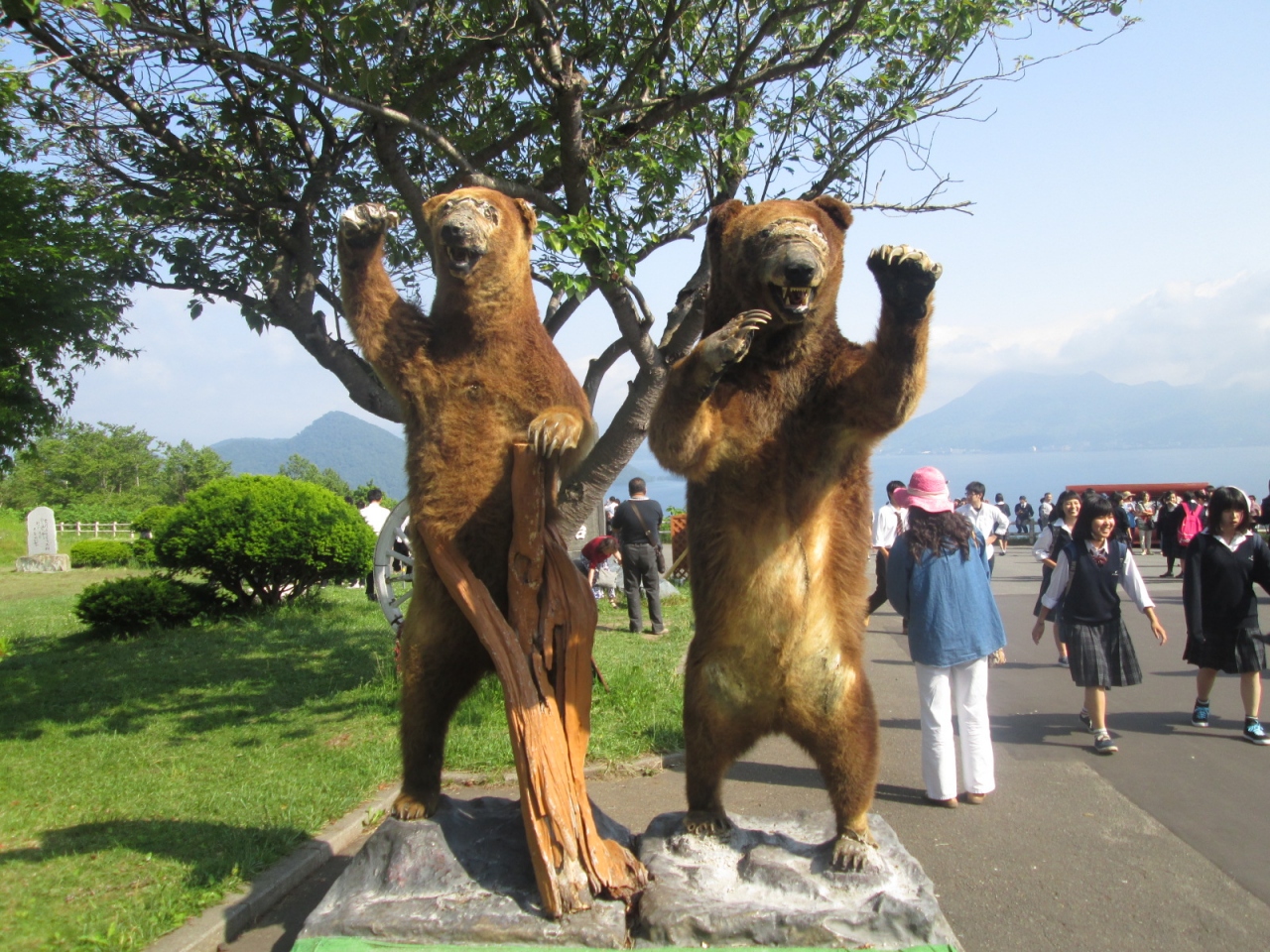 昭和新山と熊牧場 キロロ周辺 キロロ 北海道 の旅行記 ブログ By しんちゃんさん フォートラベル 昭和新山と熊牧場 キロロ周辺 キロロ 北海道 の旅行記 ブログ By しんちゃんさん フォートラベル