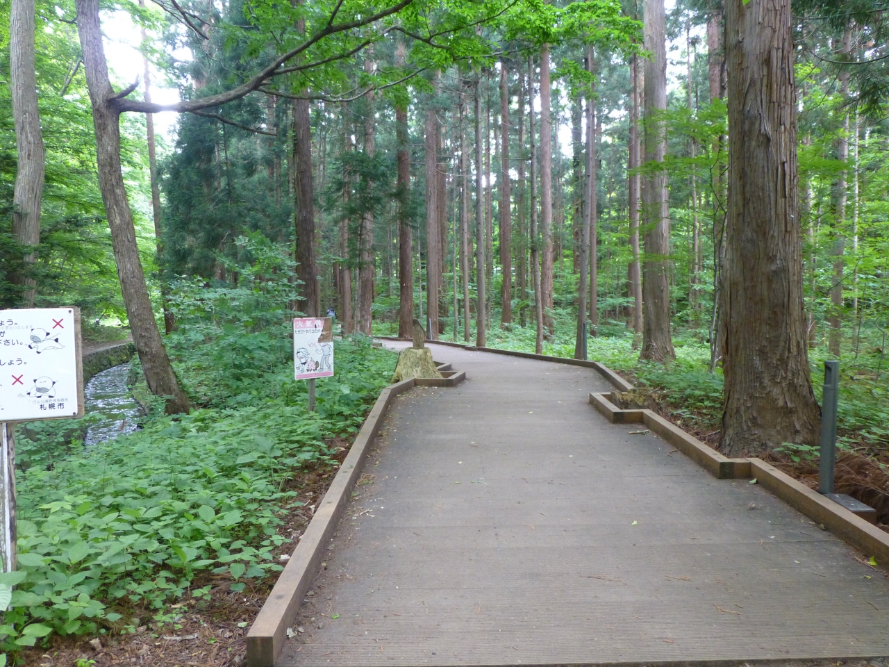 円山自然道で森林浴 札幌 北海道 の旅行記 ブログ By きんききっすさん フォートラベル 円山自然道で森林浴 札幌 北海道 の旅行記 ブログ By きんききっすさん フォートラベル