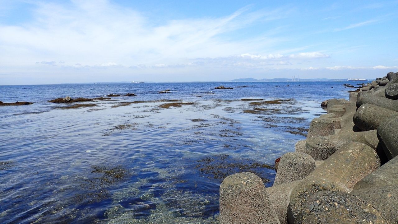 海を見に房総ドライブ 日運寺のあじさいも綺麗でした 鴨川 千葉県 の旅行記 ブログ By あず茶さん フォートラベル