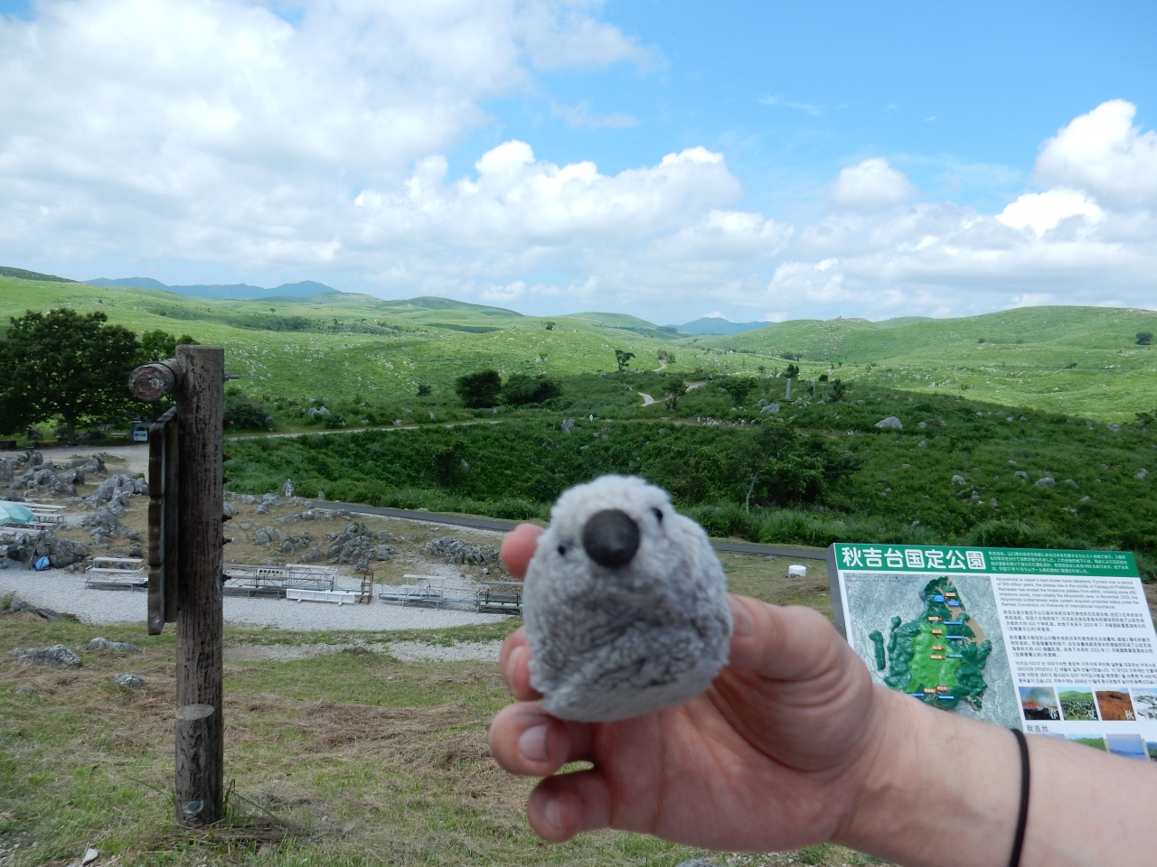 中国地方史跡探訪の旅 Withゴエモンpart1 秋吉台 山口県 の旅行記 ブログ By Goemonpさん フォートラベル 中国地方史跡探訪の旅 Withゴエモンpart1 秋吉台 山口県 の旅行記 ブログ By Goemonpさん フォートラベル