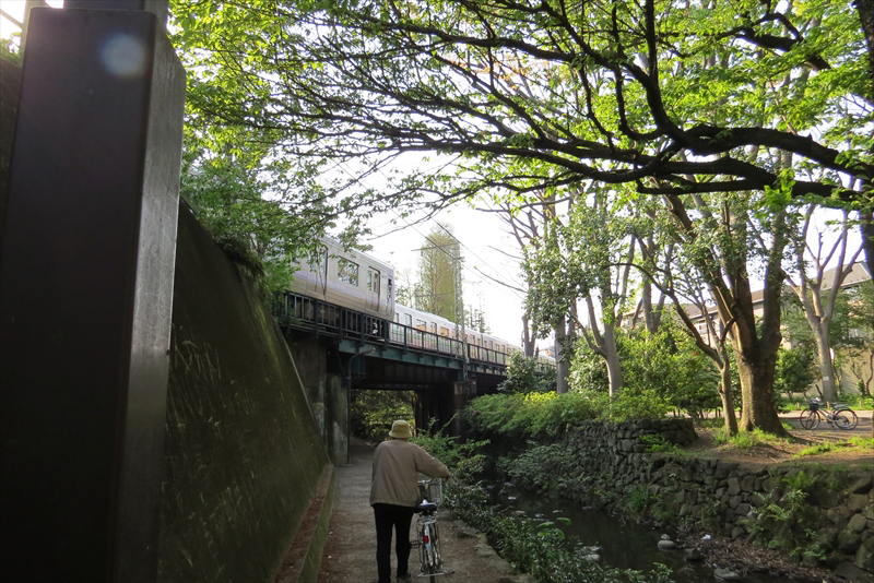 神田川を歩いてみました 1 井の頭 永福町 吉祥寺 三鷹 東京 の旅行記 ブログ By Kabaoさん フォートラベル 神田川を歩いてみました 1 井の頭 永福町 吉祥寺 三鷹 東京 の旅行記 ブログ By Kabaoさん フォートラベル