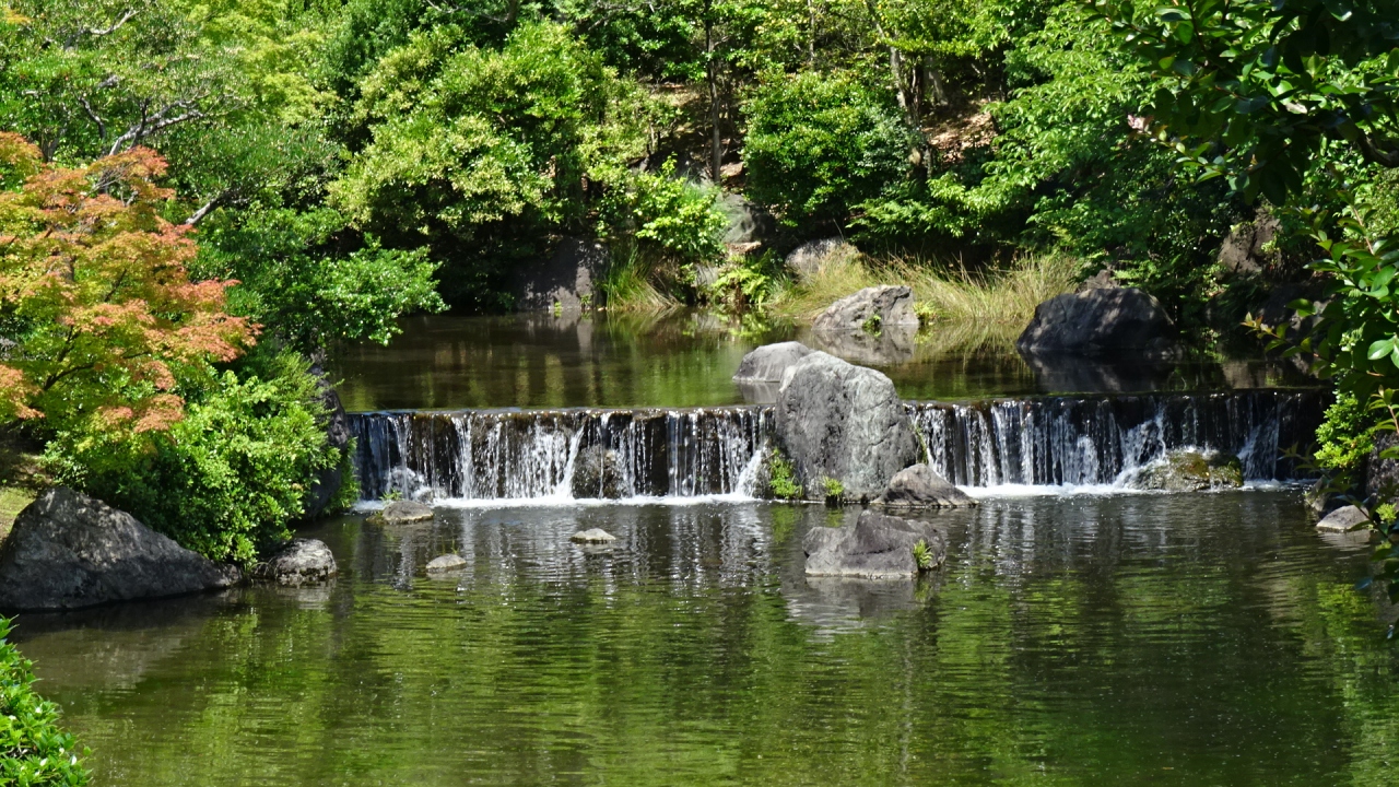 万博公園 日本庭園の散策と昼食 上巻 吹田 万博公園 大阪 の旅行記 ブログ By Hn11さん フォートラベル