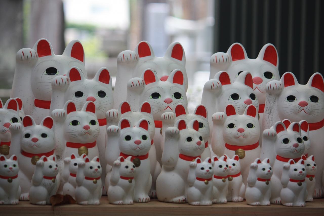 豪徳寺の招き猫にあいにいってきました 経堂 成城 東京 の旅行記 ブログ By パンダ３３さん フォートラベル