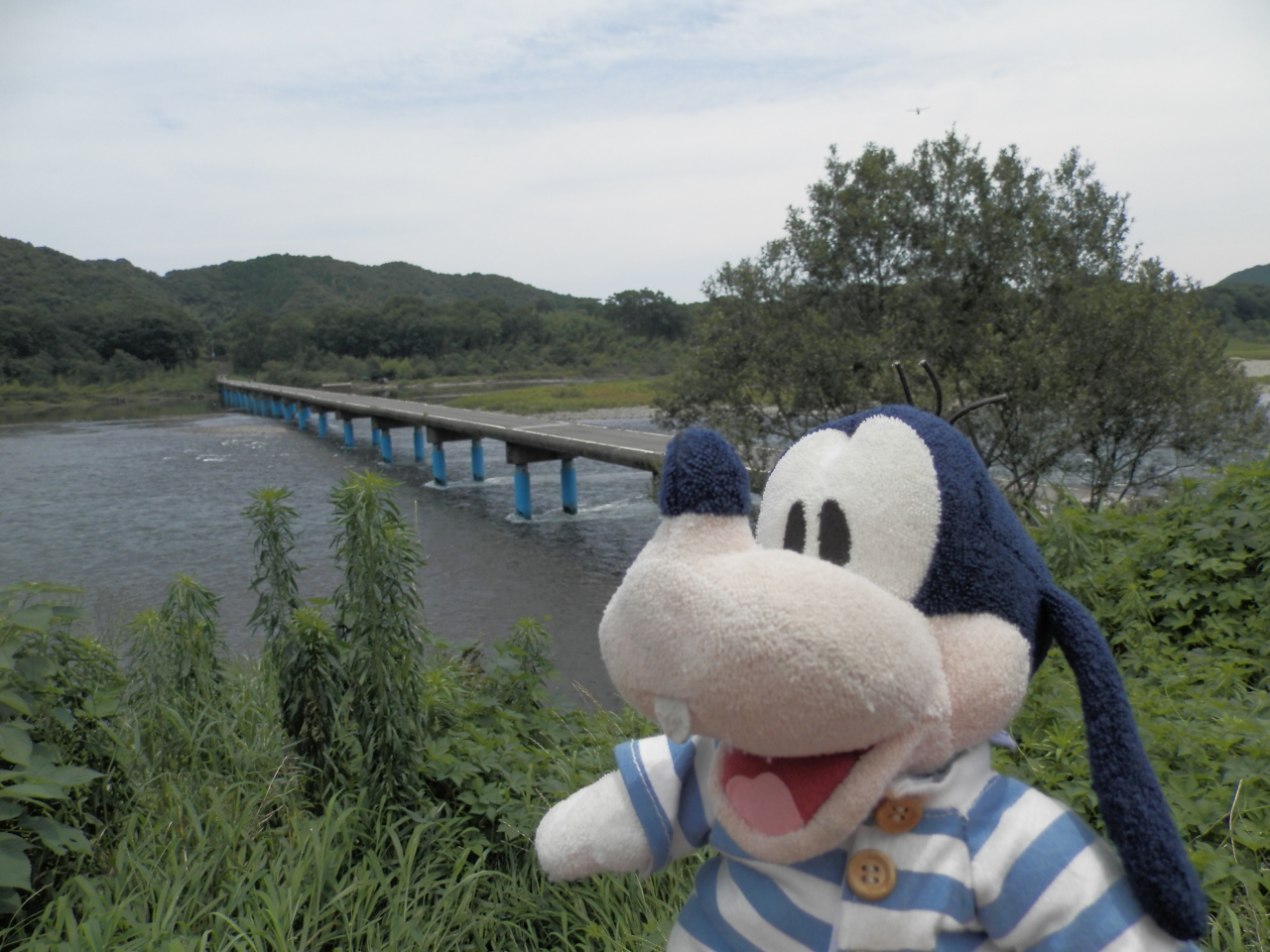 グーちゃん 高知へ行く 四万十川のチンゲ チンコ 橋編 中村 四万十川周辺 高知県 の旅行記 ブログ By グーちゃんさん フォートラベル グーちゃん 高知へ行く 四万十川のチンゲ チンコ 橋編 中村 四万十川周辺 高知県 の旅行記 ブログ By グーちゃんさん フォートラベル