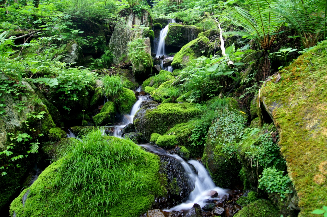 裏磐梯 幽谷の白霧の滝 苔沢 裏磐梯 猫魔 福島県 の旅行記 ブログ By J Ryuさん フォートラベル