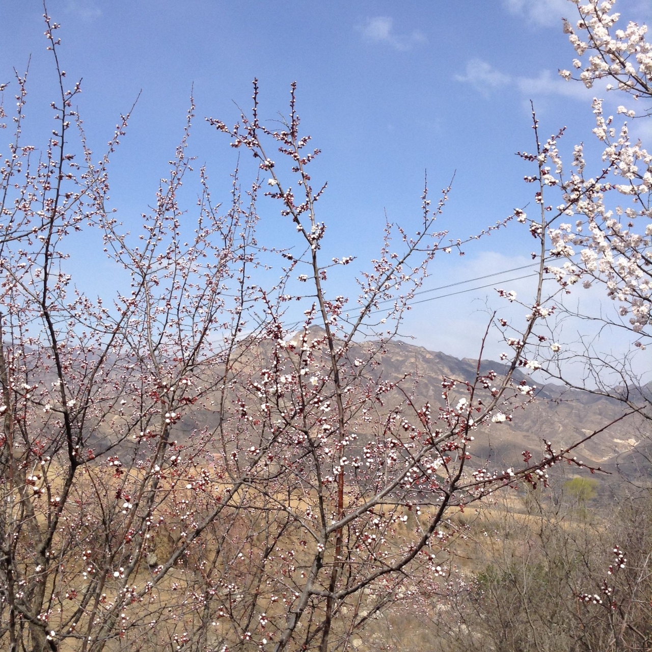 黄土高原ワーキングツアー 2015年4月 大同 中国 の旅行記 ブログ By Omasakuさん フォートラベル 黄土高原ワーキングツアー 2015年4月 大同 中国 の旅行記 ブログ By Omasakuさん フォートラベル