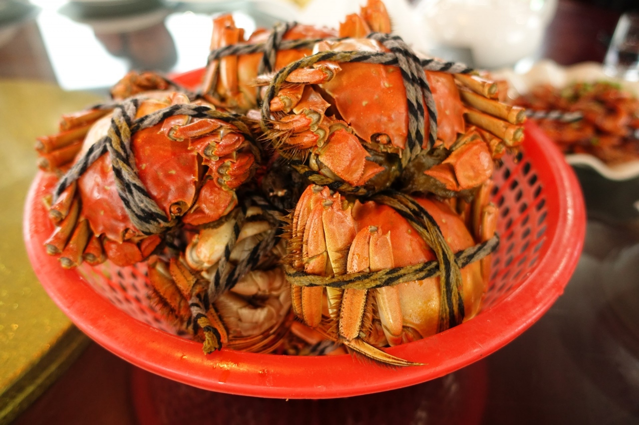 上海蟹を食べに陽澄湖に 上海 中国 の旅行記 ブログ By へなちょこさん フォートラベル