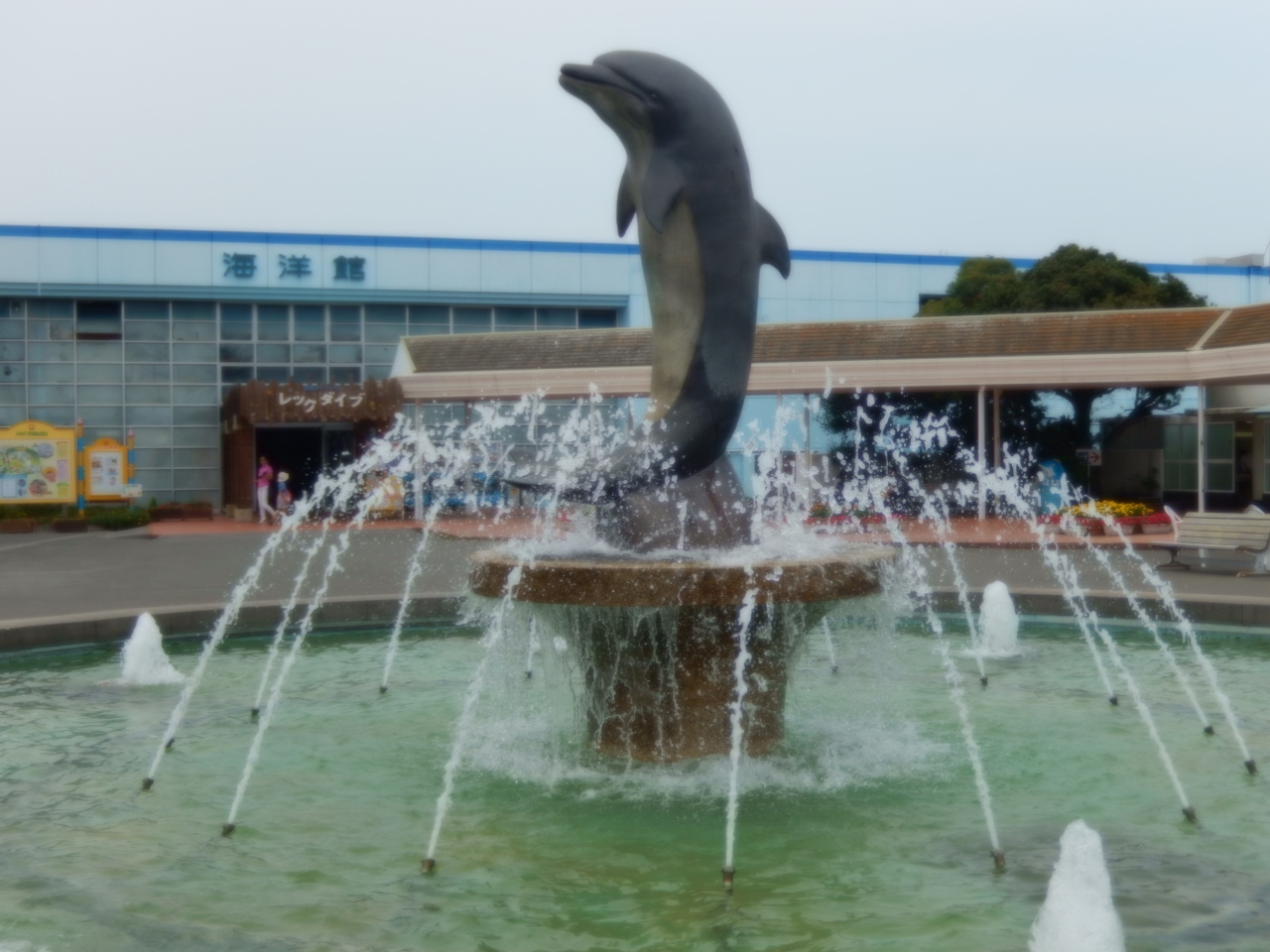 南知多ビーチランドの生きもの施設を見てきました 美浜 愛知県 の旅行記 ブログ By タビガラスさん フォートラベル
