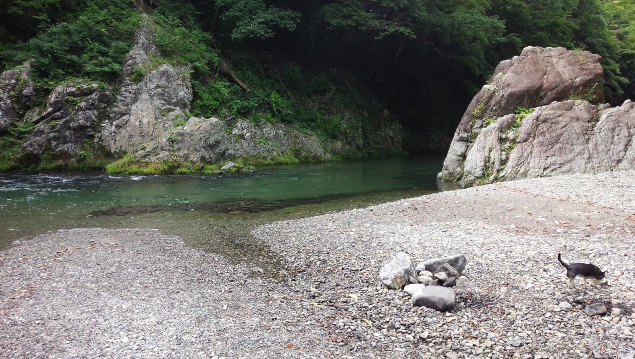 15年7月 ワンコと行く川遊び 秋川渓谷 あきる野 秋川渓谷 東京 の旅行記 ブログ By ｑ太さん フォートラベル