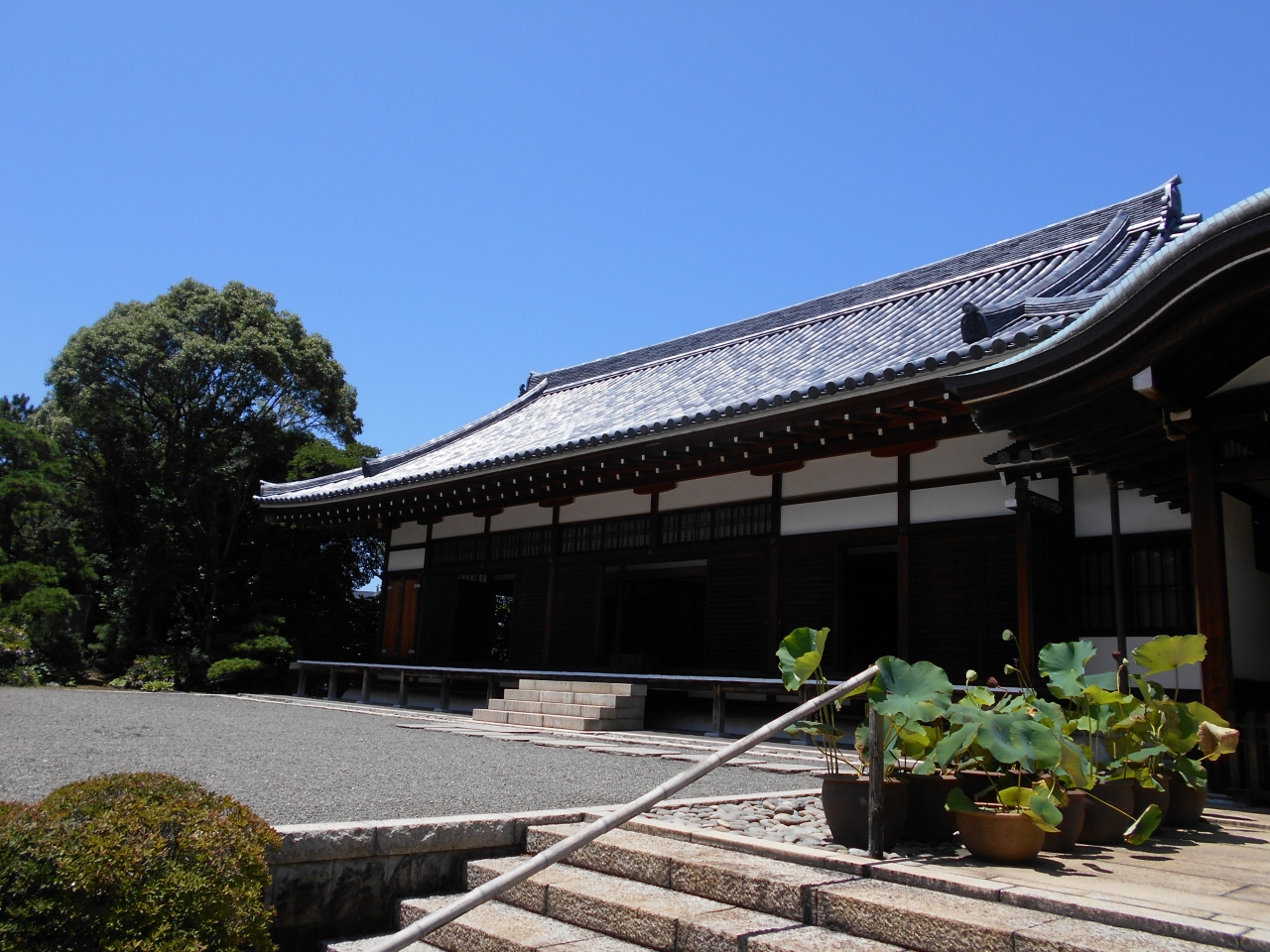 駿河沼津 地政的に徳川・小田原北条・武田が衝突する地域で戦国後期の三枚橋城主松平康親・江戸期中期の沼津城主水野忠友の菩提寺『乗運寺』散歩