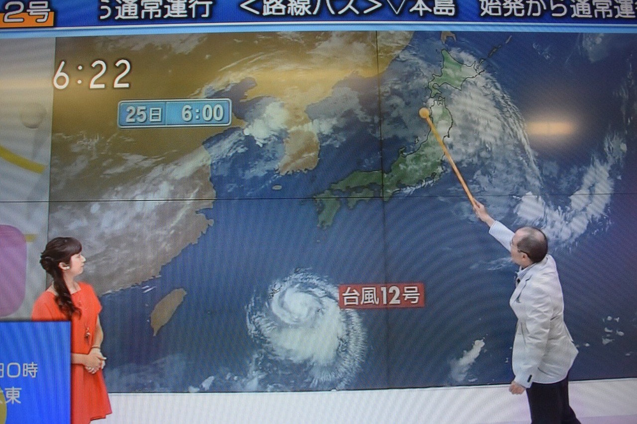 この夏休みも行くぜ 我が家恒例 沖縄旅 15年は本島 石垣島 V ５ ５ 石垣島 沖縄県 の旅行記 ブログ By Nobu2さん フォートラベル