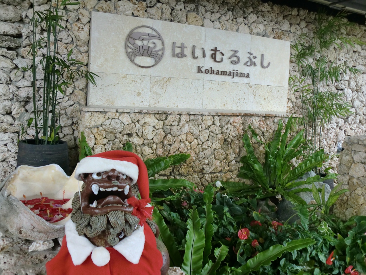 冬の小浜島 竹富島 母娘旅 はいむるぶし泊 小浜島 沖縄県 の旅行記 ブログ By きままさん フォートラベル
