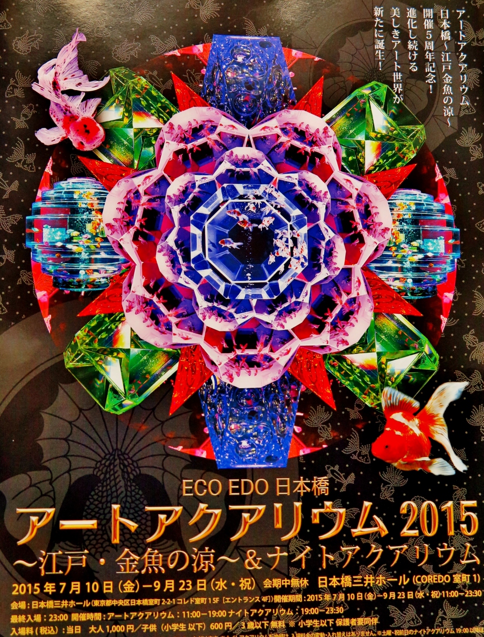 アートアクアリウム展1 3 テーマ 江戸金魚の涼 日本橋三井ホールで 日本橋 東京 の旅行記 ブログ By マキタン２さん フォートラベル