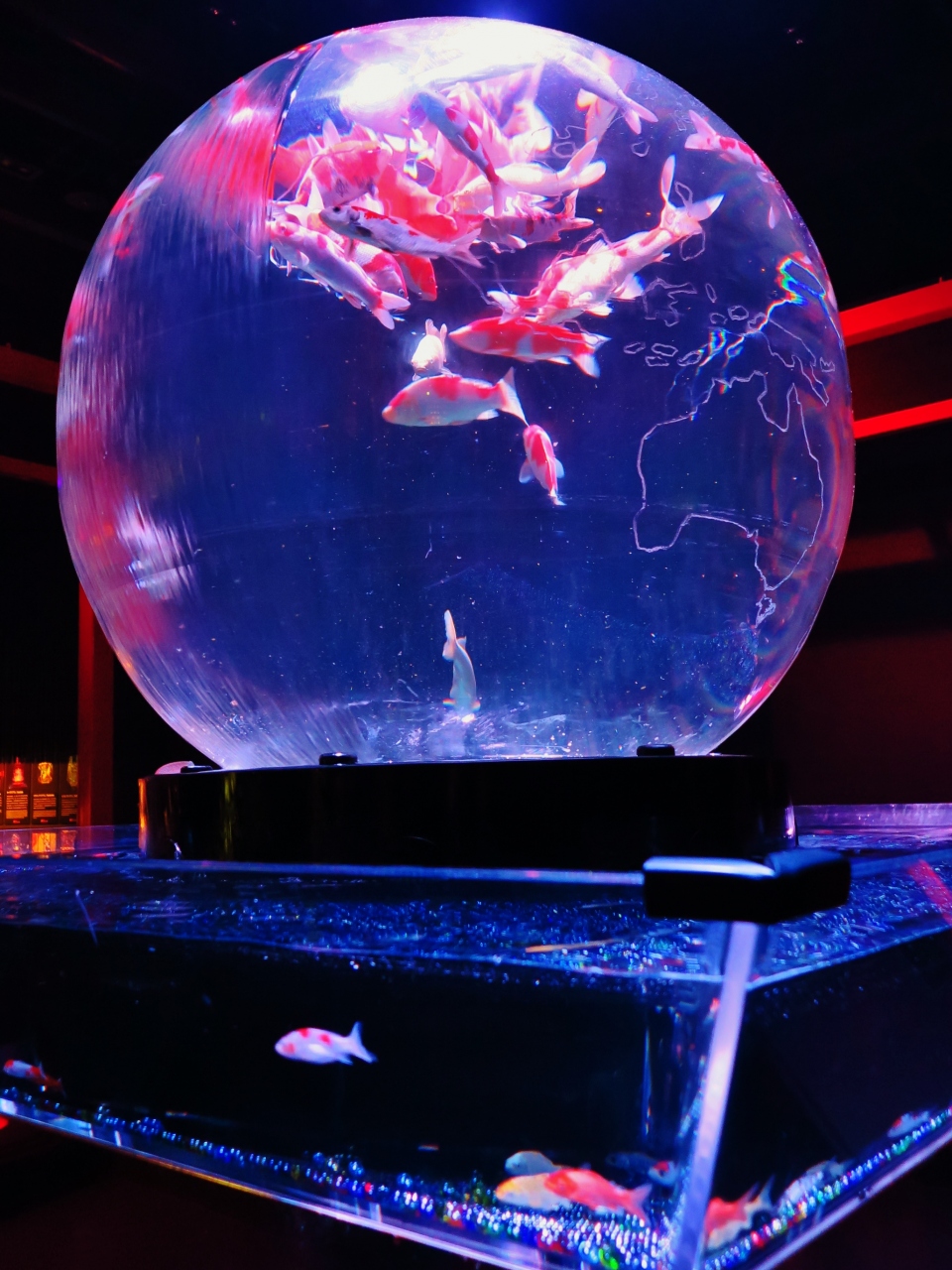 アートアクアリウム展3 3 アース水槽は最大球 和風涼感 琳派の屏風に金魚泳いで 日本橋 東京 の旅行記 ブログ By マキタン2さん フォートラベル アートアクアリウム展3 3 アース水槽は最大球 和風涼感 琳派の屏風に金魚泳いで 日本橋 東京 の旅行記 ブログ By マキタン2さん フォートラベル