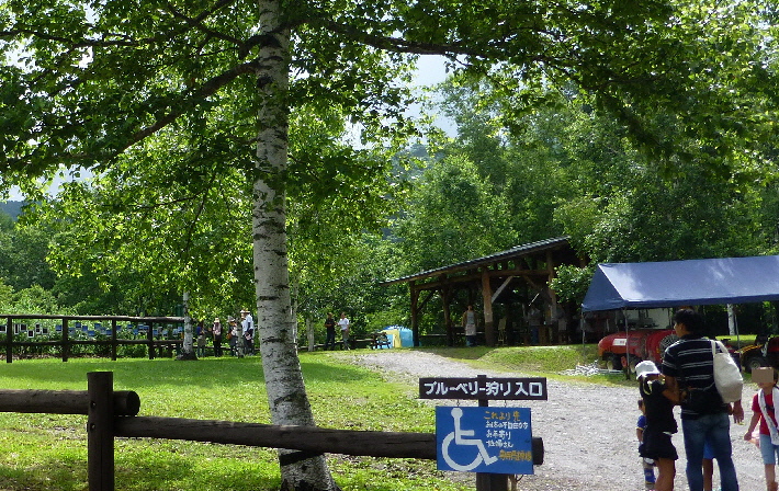 木曽 開田高原のブルーベリー狩り 木曽 塩尻 長野県 の旅行記 ブログ By Yamayamaさん フォートラベル 木曽 開田高原のブルーベリー狩り 木曽 塩尻 長野県 の旅行記 ブログ By Yamayamaさん フォートラベル