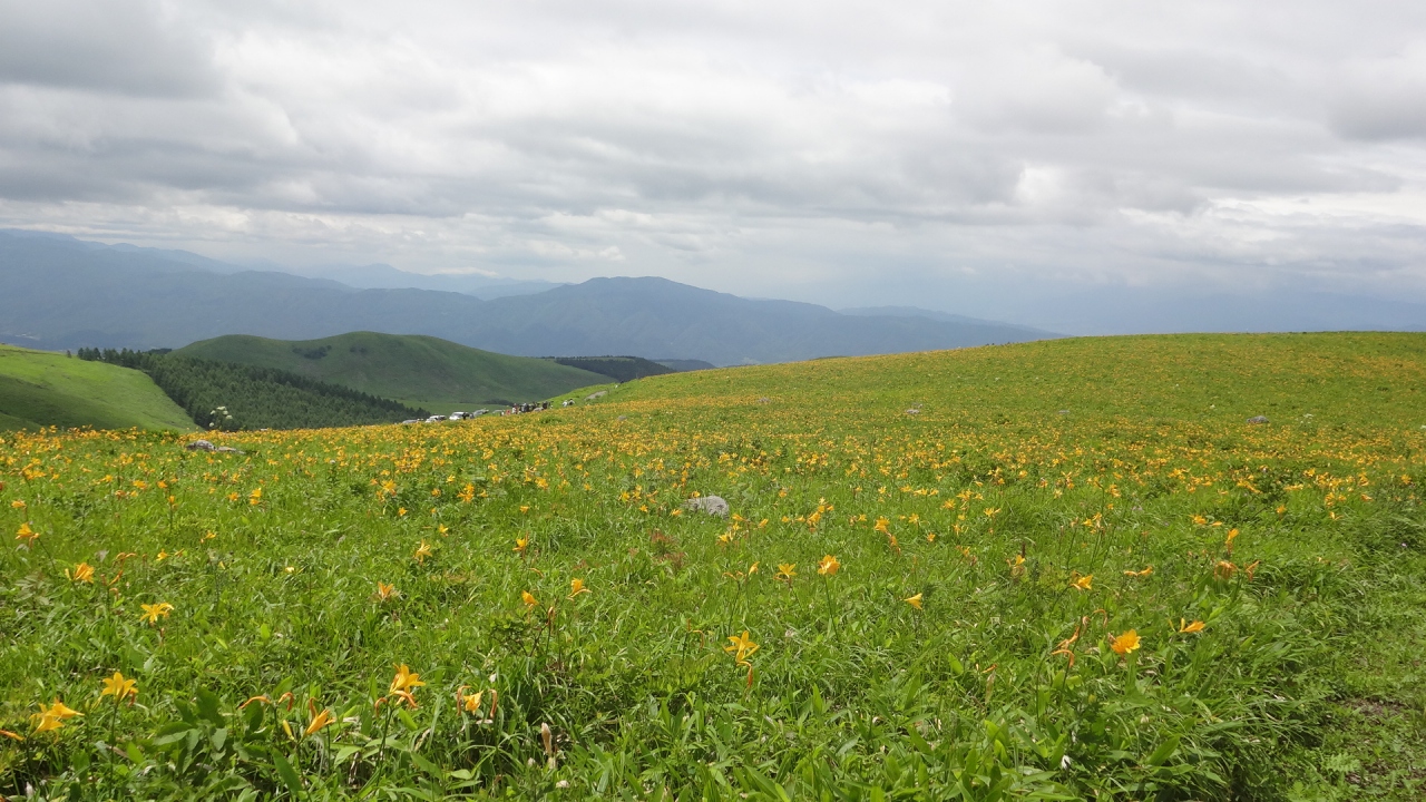 夏の車山高原1泊2日 白樺湖 蓼科 車山 長野県 の旅行記 ブログ By Shkさん フォートラベル 夏の車山高原1泊2日 白樺湖 蓼科 車山 長野県 の旅行記 ブログ By Shkさん フォートラベル