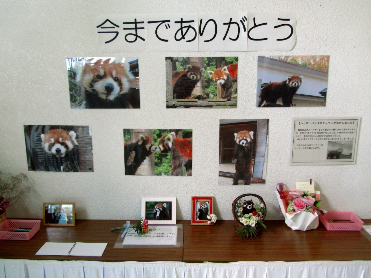 風太くんの奥さんチイチイちゃんの追悼講演が聞きたくて猛暑の千葉市動物公園 へ １ レッサーパンダのチイチイちゃんの昔話が聞けた特別講演会の様子をちょっとだけ その他の動物たちもちょっとだけ 千葉市 千葉県 の旅行記 ブログ By まみさん フォートラベル