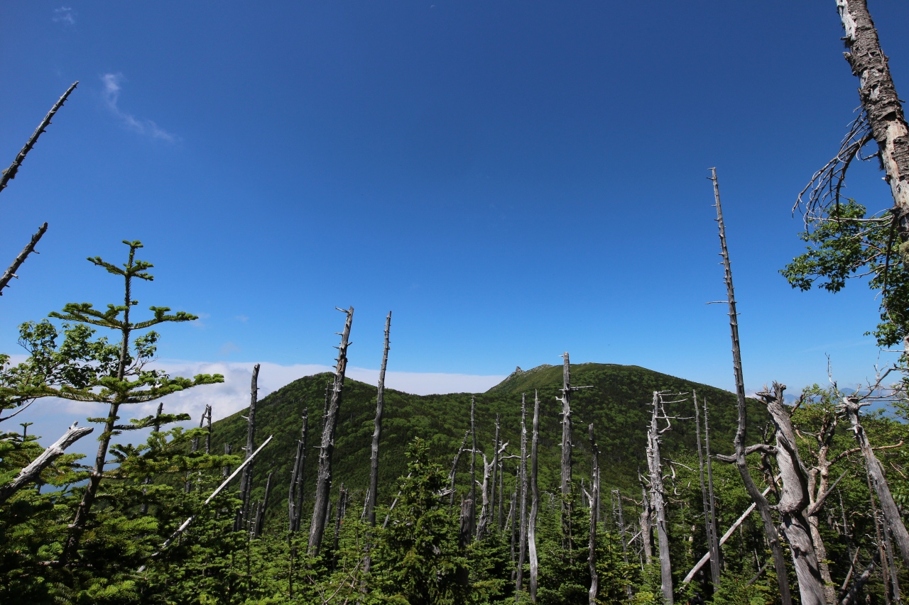 金峰山 瑞牆山 甲府 山梨県 の旅行記 ブログ By Ottyannさん フォートラベル 金峰山 瑞牆山 甲府 山梨県 の旅行記 ブログ By Ottyannさん フォートラベル