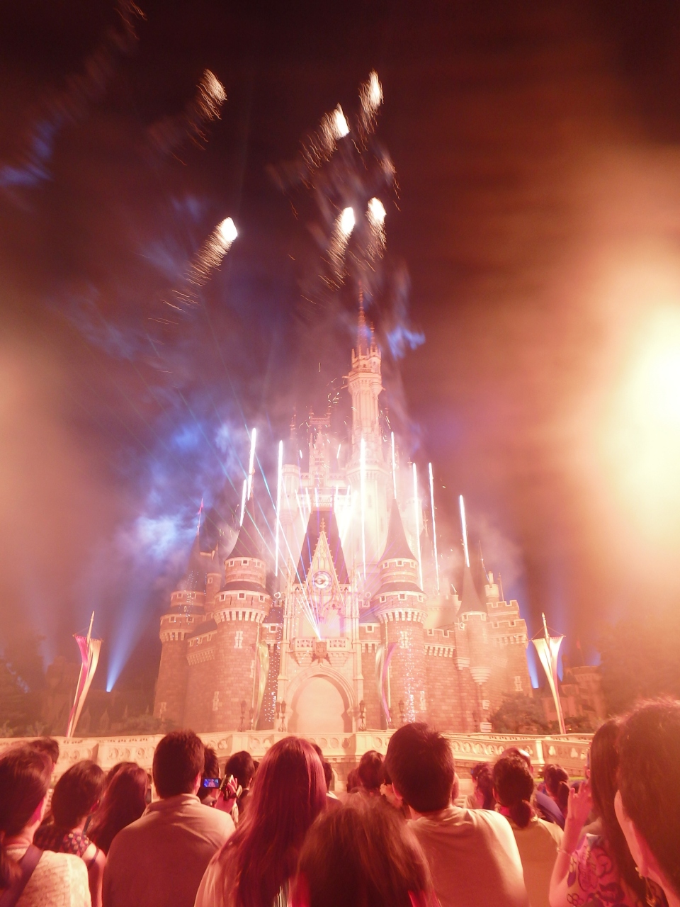 2015夏ディズニー① ワンス大当たり!!』東京ディズニーリゾート(千葉県