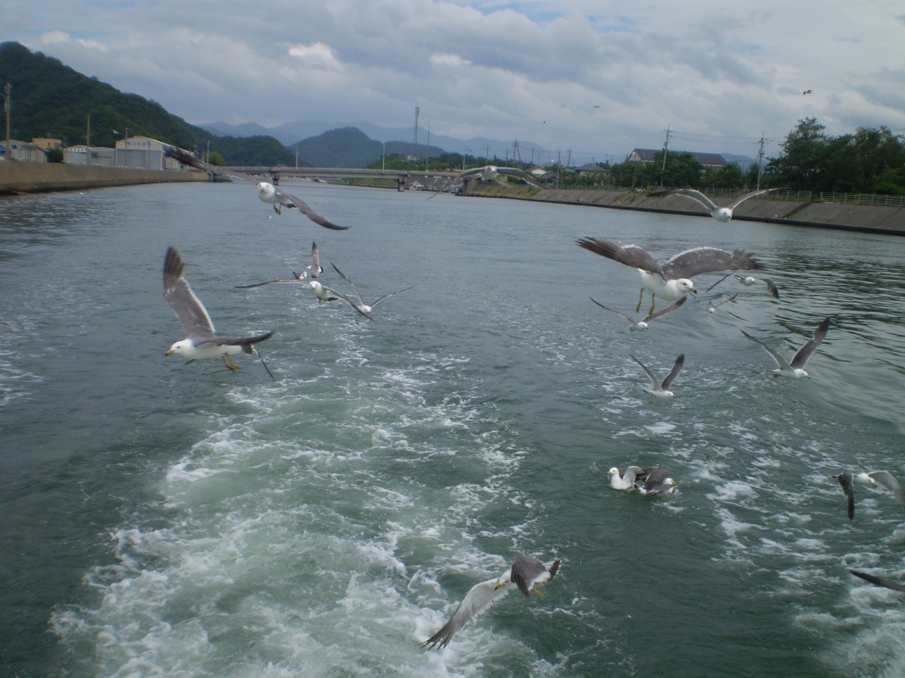 浦富海岸島めぐり遊覧船に乗る 浦富 岩井温泉 鳥取県 の旅行記 ブログ By てくてくさん フォートラベル