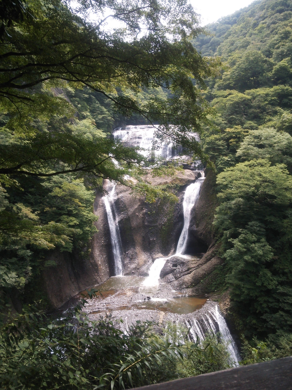 芦野温泉の宿泊予約なら フォートラベル の格安料金比較 那須
