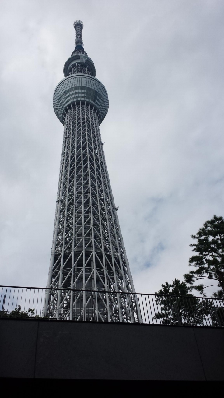 スカイツリー 明治神宮 時々グルメ 浅草 東京 の旅行記 ブログ By みちおさん フォートラベル