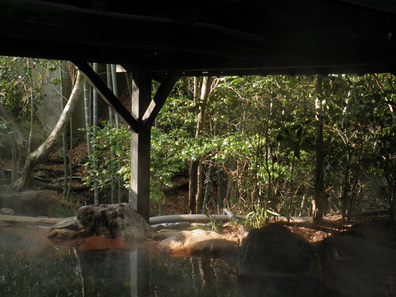 温泉めぐり 1 正月休みを利用して熊本県の黒川温泉へ 黒川温泉 杖立温泉 熊本県 の旅行記 ブログ By モンサンみっちゃんさん フォートラベル