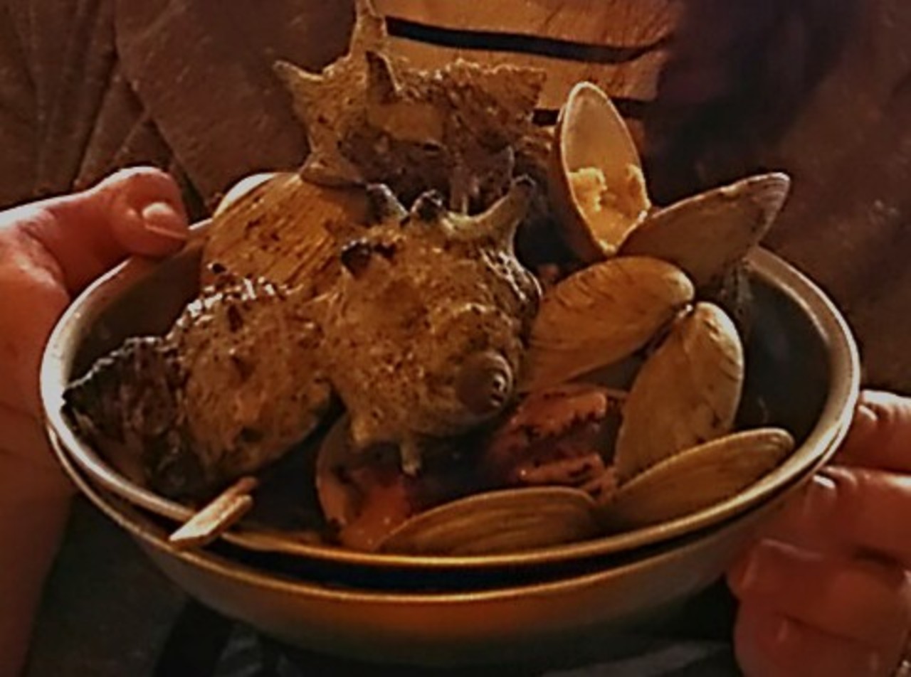 駿河の味覚大満喫 ぴっちぴち海鮮浜焼き食べ放題とローカル電車 ロープウェイ 静岡ぶらり旅 静岡県の旅行記 ブログ By Rieeeさん フォートラベル