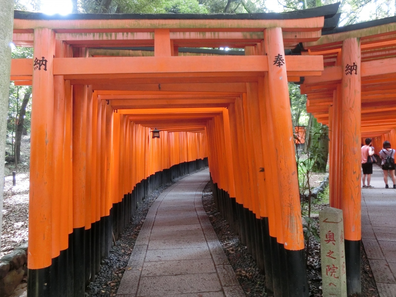 夏の京都 家族旅行 伏見 京都 の旅行記 ブログ By まろーんさん フォートラベル