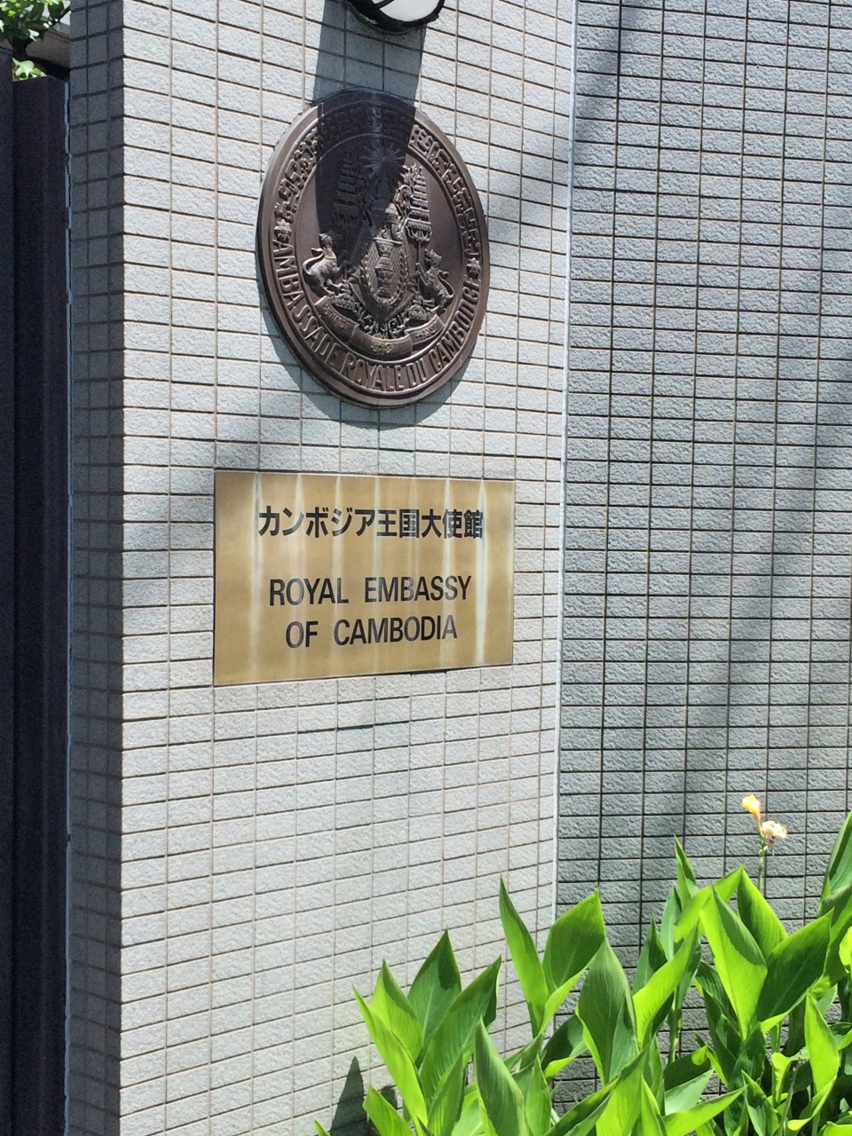 雨季だけど 初めてのアンコールワット １日目 中国東方航空 上海経由でシェムリアップへ シェムリアップ カンボジア の旅行記 ブログ By 有栖さん フォートラベル